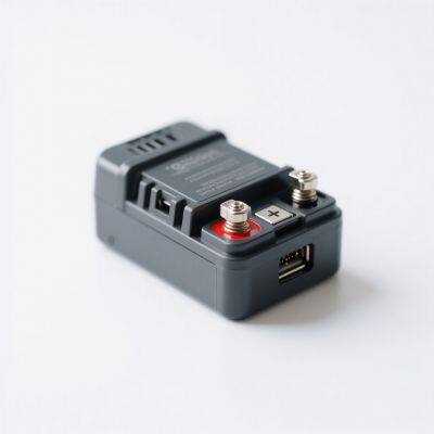 Battery, Storage Battery & Charger