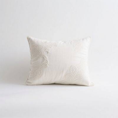 Pillow & Cushion
