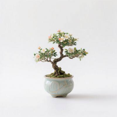 Flower, Bonsai & Decorative Plant