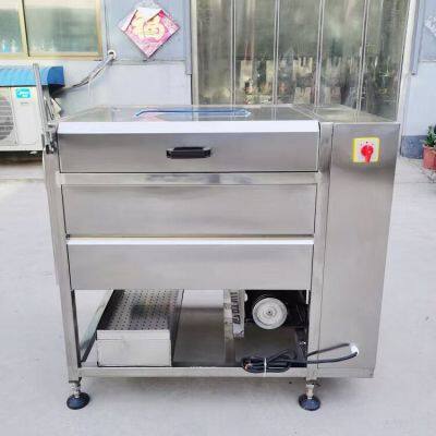 Commercial Stainless Steel Fruit Bubble Washing Machine Manufacturer