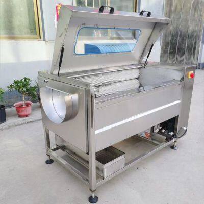 Brush Type Carrot Washer Potato Peeling and Washing Machine