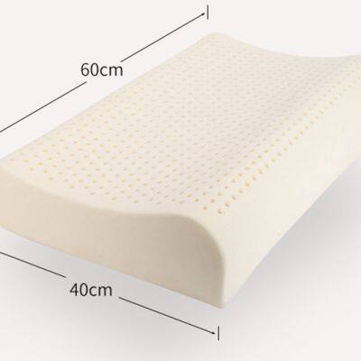Quality Natural Latex Pillow Normal Size and Function Style for Home and Hotel