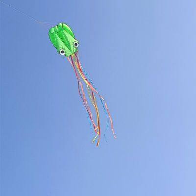 OEM All Shapes, Design and Kinds of Kites for Advertising and Activities Occasions