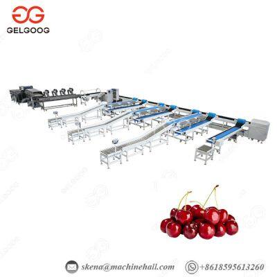 Chinese Suppliers Automatic Size Sorting Color Sorting Cherry Sorting Machine